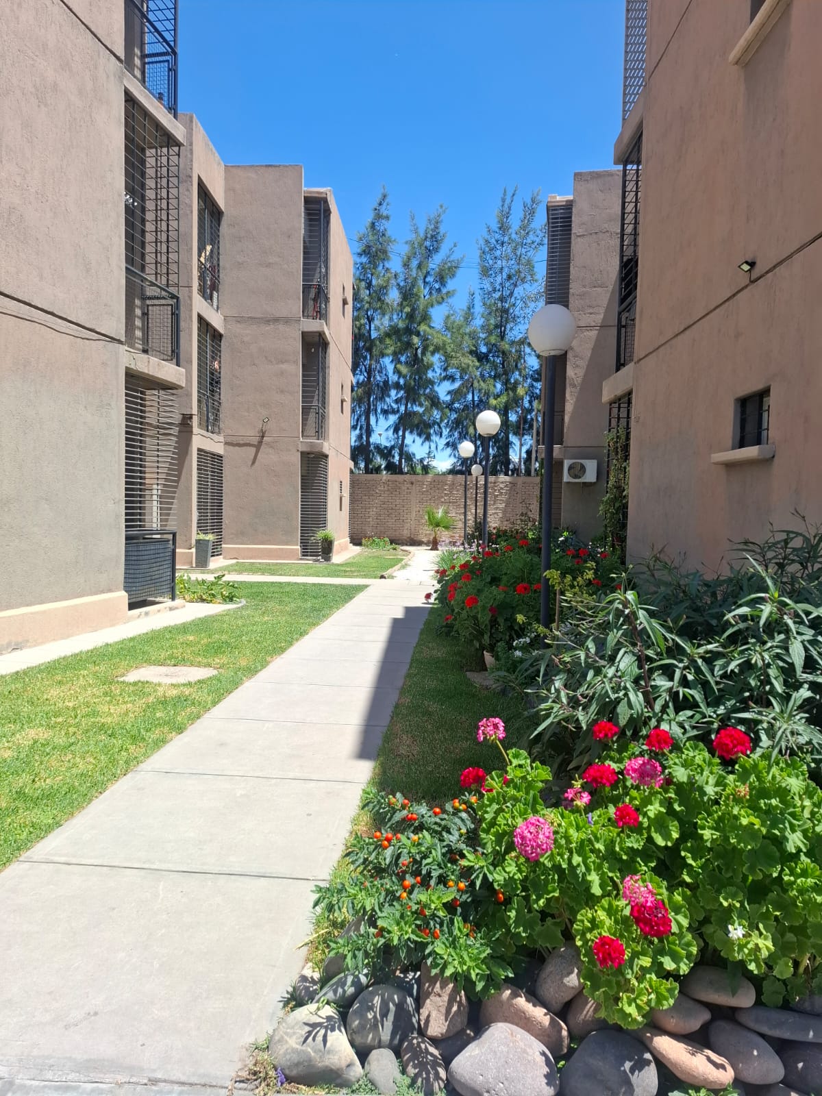 Marcelo Scaramella Inmobiliaria Alquila departamento.(ALQUILADO)